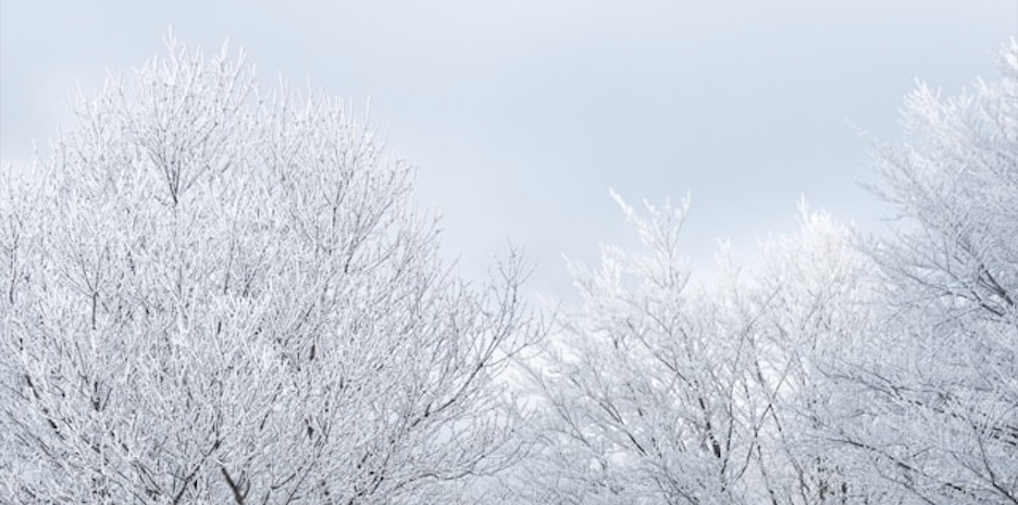 6 Winter Quotes That Capture The Season