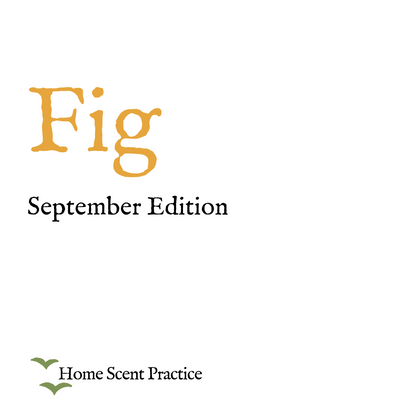 ‘September’ Refillable Scented Candle: Fig