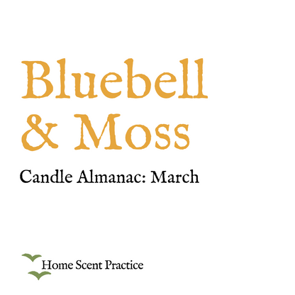 Smaller Candle Refill 'March: Bluebell & Moss' - For Candle Almanac Range