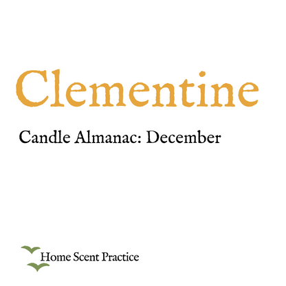 Smaller Candle Refill 'December: Clementine' - For Candle Almanac Range