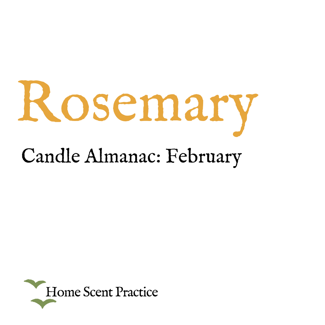 Smaller Candle Refill 'February: Rosemary' - For Candle Almanac Range