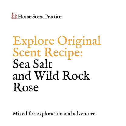 ‘Explore’ Refillable Scented Candle: Sea Salt & Wild Rock Rose